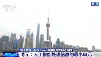 一个汉字约等于1-2个词元！我国日均词元调用量达数百万亿次