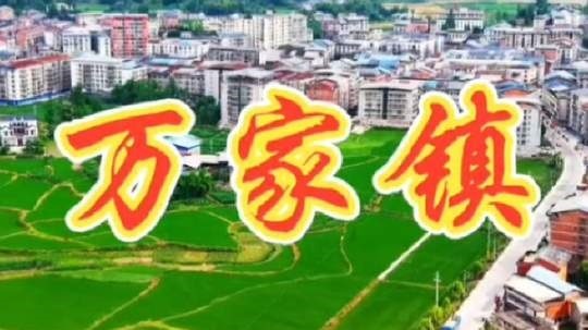 航拍美丽乡村,万家镇