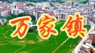 航拍美丽乡村，万家镇