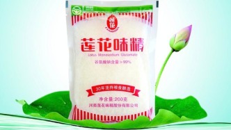 莲花味精的算力狂想