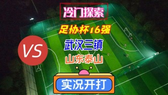 戏说足协杯16强淘汰赛！武汉三镇VS山东泰山！