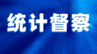 上海市统计局2026年第1统计督察组进驻嘉定区开展统计督察