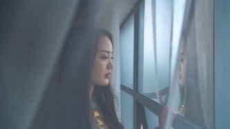 婚姻心理咨询：出轨后回归的无爱婚姻，还能继续吗？——《伴侣》