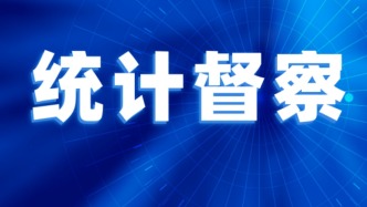 上海市统计局2026年第2统计督察组进驻松江区开展统计督察