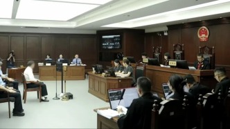 崖缝间长成的百年红豆杉是野生的吗？这次为探索二审案件庭审实质化打样