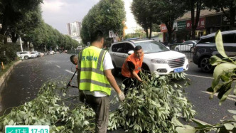 西秀区城管局 聚疾风骤雨显担当  园林应急除隐患