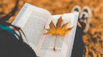 合同法中的给付