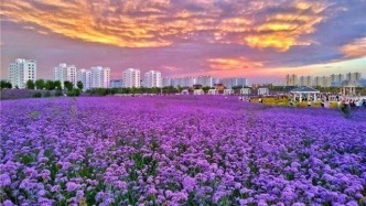 激情夏日·魅力金昌——金昌市暑期文旅产品精彩纷呈