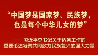 习近平总书记重要论述凝聚共同致力民族复兴强大力量