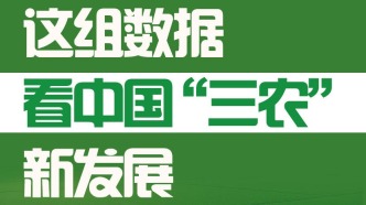 这组数据，看中国“三农”新发展