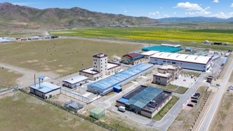 西藏那曲：牛奶酿出牧民共富新生活