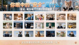 你眼中的“安全”是什么？