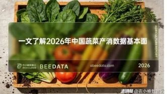 中国蔬菜产量破8.89 亿吨！山东产量第一