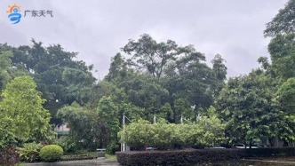 雨还没完！8月1日起广东将有新强降水过程