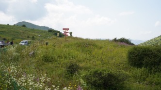 去陕南大巴山麓，感受平利正阳草原18度的盛夏