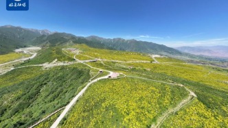 东西部协作 万人游临夏｜夏日避暑游，花儿临夏有“凉”方