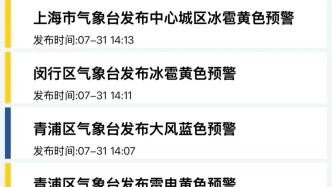 @上海人注意！要下冰雹了！高温+雷电+大风+冰雹！上海连发4个预警，目前全市24个预警高挂！