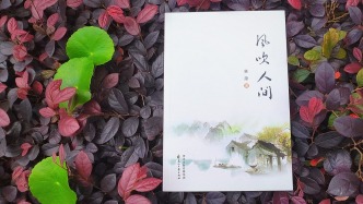 从生活里生长出来的天真、烂漫与慈悲——读林萧诗集《风吹人间》