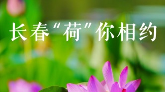 进入最佳观赏期！“荷”你相遇，在长春的夏天！