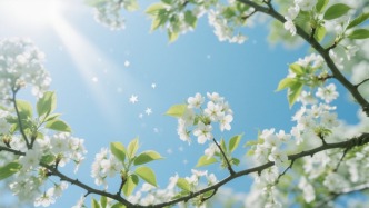 “我什么都不缺，就缺时间”——记电力系统继电保护专家、天津大学教授贺家李