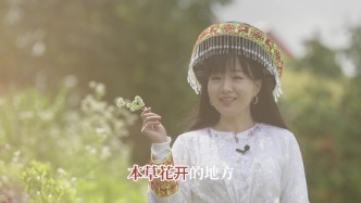 相约隆回，赴一场银花百合飘香的盛会 | 湘中药库