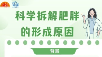 科学拆解肥胖的形成原因