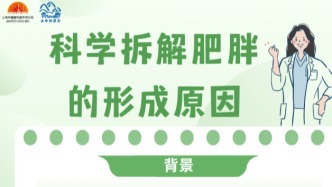 科学拆解肥胖的形成原因
