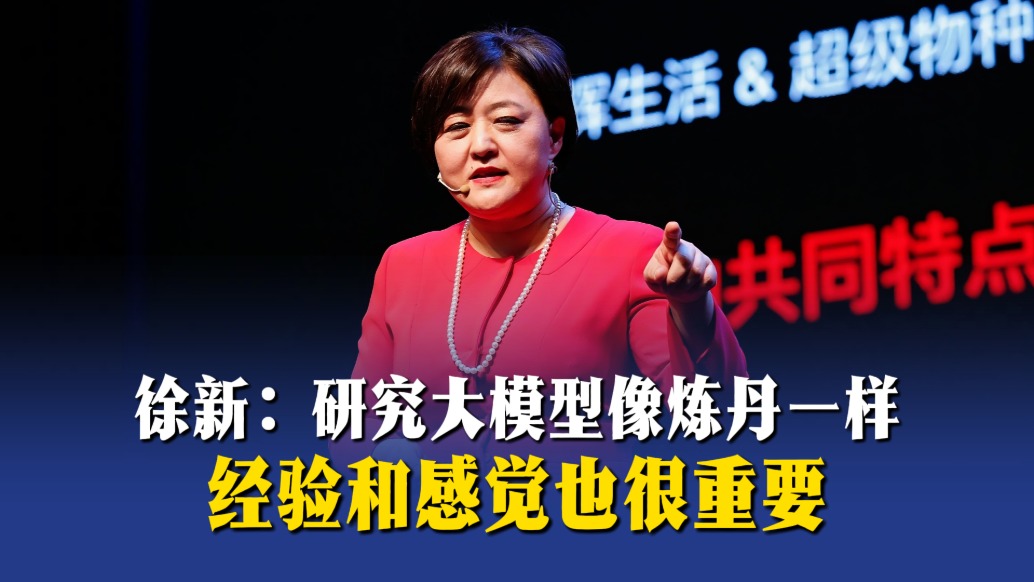 徐新：研究大模型像炼丹一样，经验和感觉也很重要