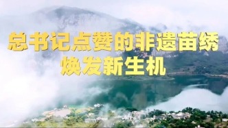 非遗苗绣焕发新生机