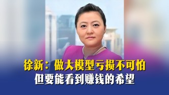 徐新：做大模型亏损不可怕，但要能看到赚钱的希望