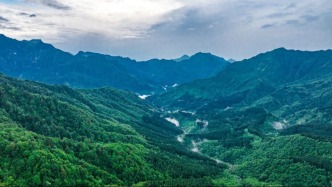 “世界级”！崇州这个植物园正在加快建设