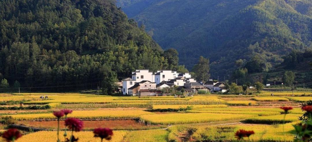 文明双城的精神游走：新时代新乡土诗的夹缝焦虑与文明和解