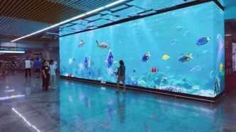 通勤路上“坠入”深海！沙坪坝这块裸眼3D屏，路过根本走不动道