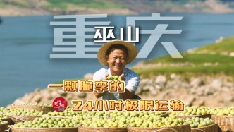一颗深山的果子是如何跑赢24小时的？巫山脆李的3次极速飞行告诉你答案