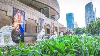 当人民广场长出一片“玉米地”：上海不只是在办展