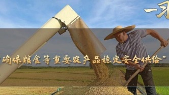 “确保粮食等重要农产品稳定安全供给”