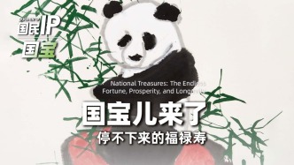 国民IP丨国宝儿来了·停不下来的福禄寿