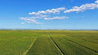 8月的鄂尔多斯，遍地皆“丰”景！