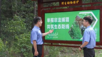 让朱鹮放心安家自由飞翔