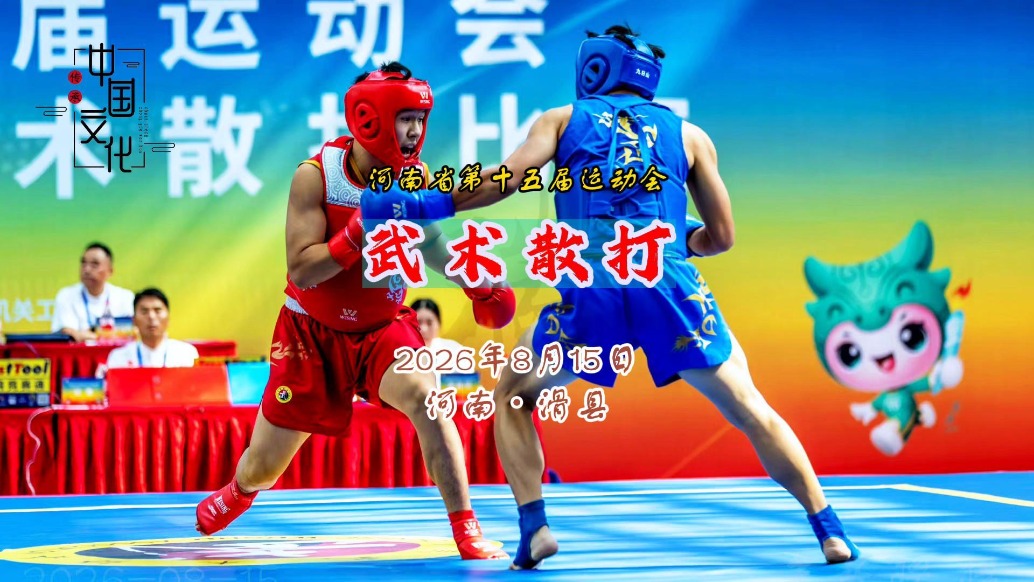 武术散打：青少年竞技组丨河南省第十五届运动会②