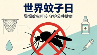 世界蚊子日丨警惕蚊虫叮咬，守护公共健康