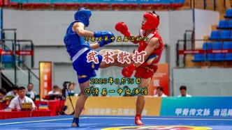 武术散打：青少年竞技组丨河南省第十五届运动会③