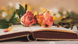 直接侵权和间接侵权有何区别?