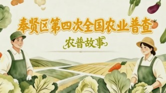 农普故事 | 从旁观者到普查员，我见证了家乡十年的变化