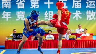 武术散打：青少年竞技组丨河南省第十五届运动会④