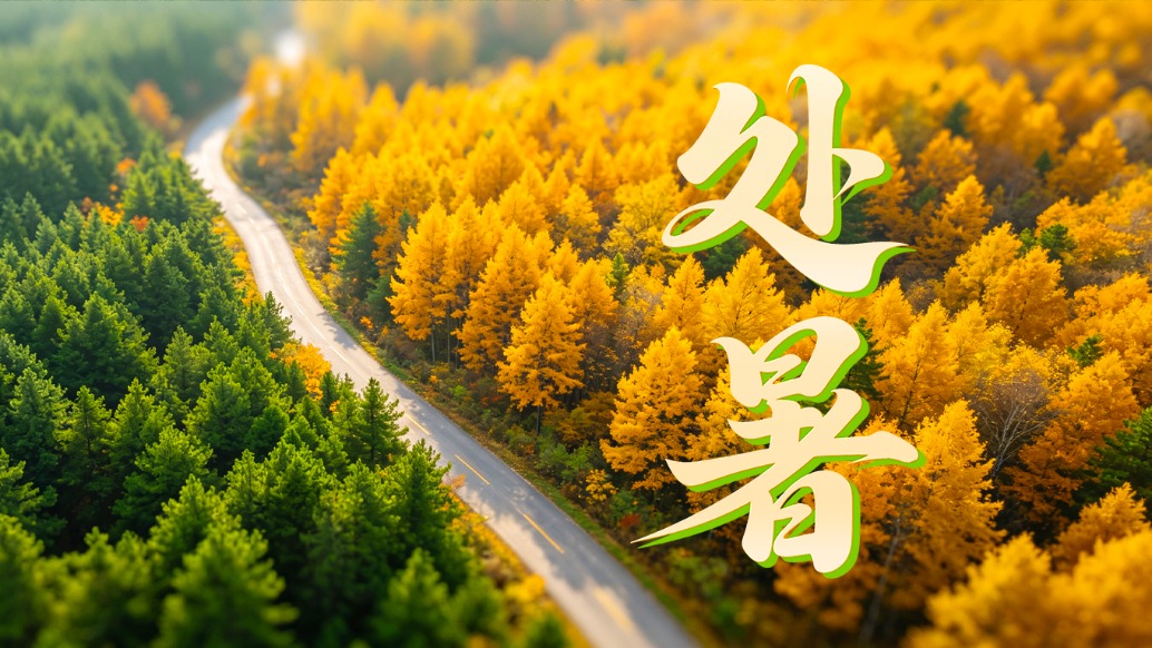 今日处暑|愿伴着明净秋光阔步前行!