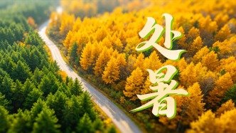 今日处暑｜愿伴着明净秋光阔步前行！