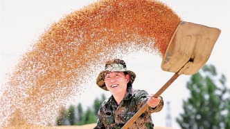 千里沃野，满是科技范儿  ——我国农业科技水平持续提升