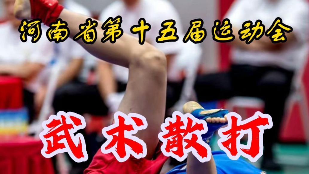 武术散打:青少年竞技组丨河南省第十五届运动会⑤