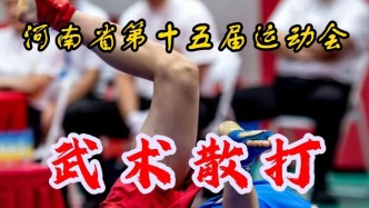 武术散打：青少年竞技组丨河南省第十五届运动会⑤